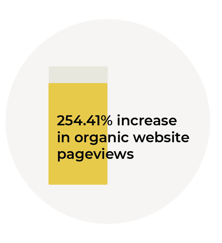 254.41% increase in organic website pageviews graphic