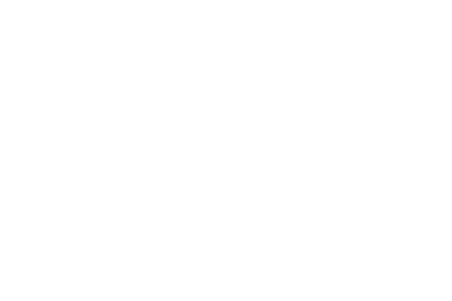 Zeia Foods Logo